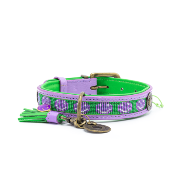 Dog with a Mission Smiley Halsband